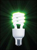 compact fluorescent bulb
