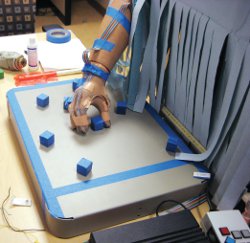 Box and Blocks