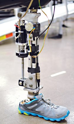 powered LL prosthesis