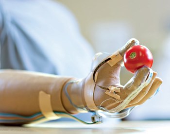 nand gripping tomato