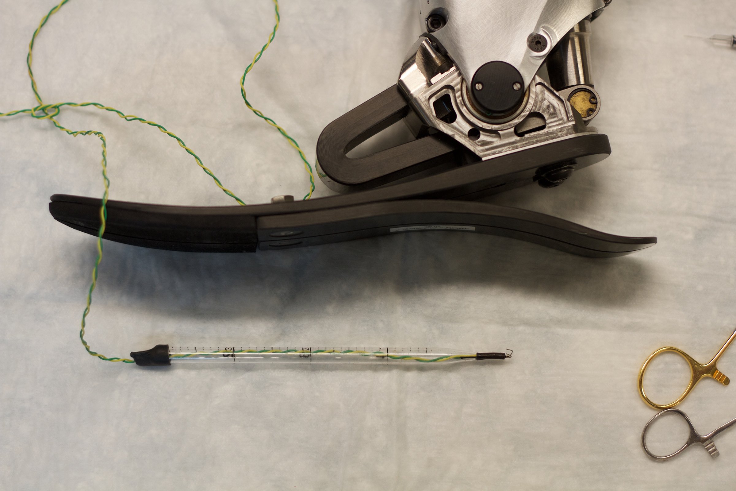 New Surgical Procedure May Make Prostheses Feel More Natural
