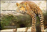 /Content/UserFiles/PrintAds/ortho-remedy/E-OrthRem-Trypto-09Nov.jpg /Content/UserFiles/PrintAds/ortho-remedy/E-OrthRem-Trypto-09Nov.jpg