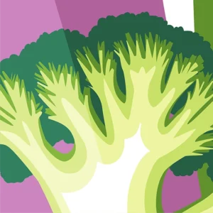 Under Pressure: The Role of Nutrition and Diet in Ulcer Recovery
