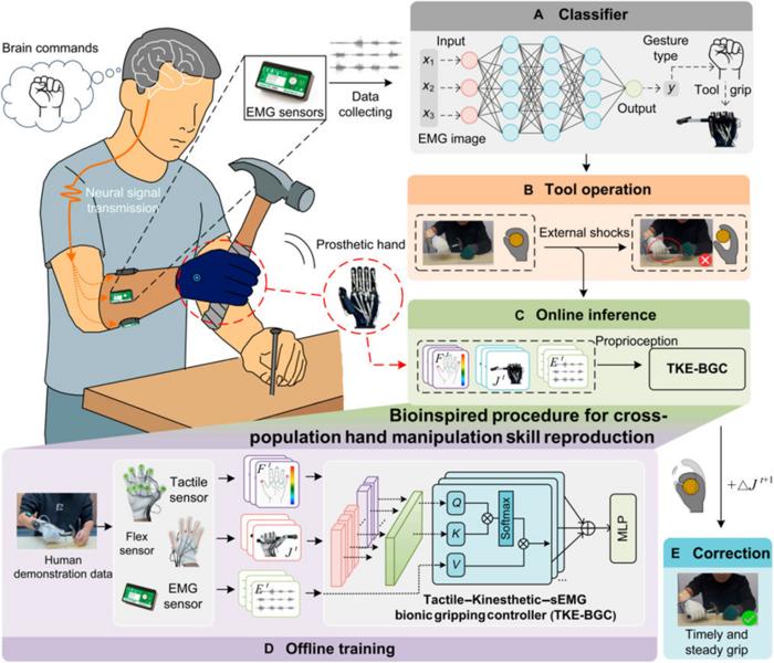 Research Advances Prosthetic Hand Tactile Control