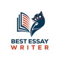 best essay writer